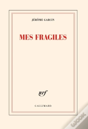 Capa do artigo Mes Fragiles (Tp)