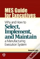 Mes Guide For Executives