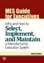 Mes Guide For Executives - Preview