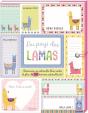Mes Petits Messages ; Au Pays Des Lamas - Preview