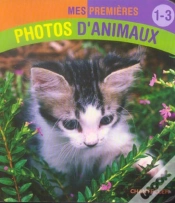 Capa do artigo Mes Premieres Photos D