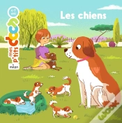 Capa do artigo Mes P