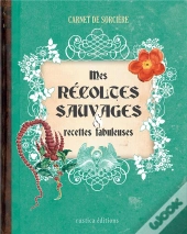 Mes Récoltes Sauvages & Recettes Fabuleuses