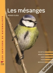 Mesanges