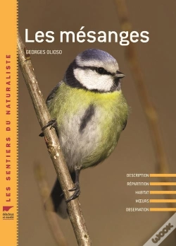 Capa do artigo Mesanges
