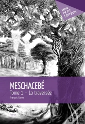 Capa do artigo Meschacebé T.1