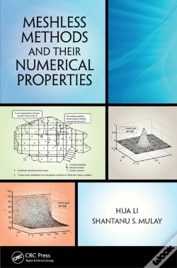 Capa do artigo Meshless Methods And Their Numerical Properties