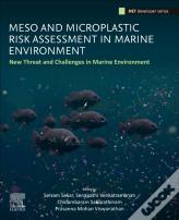 Meso And Microplastic Risk Assessment In Marine Environments