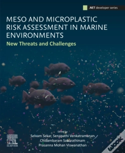 Capa do artigo Meso And Microplastic Risk Assessment In Marine Environments