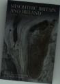 Mesolithic Britain And Ireland - Preview