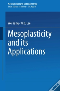Capa do artigo Mesoplasticity And Its Applications