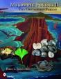 Mesozoic Fossils Ii - Preview