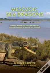 Capa do artigo Mesozoic Sea Dragons