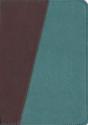 Message Bible-Ms-Compact - Preview