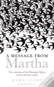 Capa do artigo Message From Martha