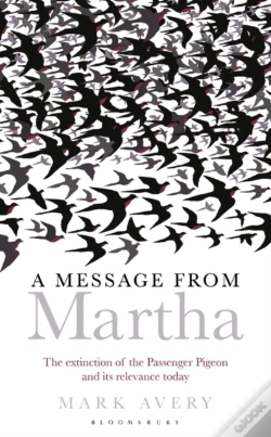 Capa do artigo Message From Martha