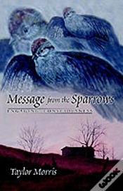Capa do artigo Message From The Sparrows