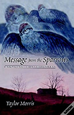 Capa do artigo Message From The Sparrows