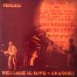 Message To Love / Changes - Vinil - Preview