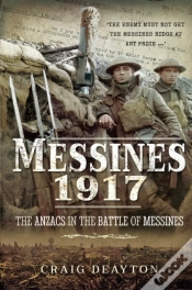 Capa do artigo Messines 1917