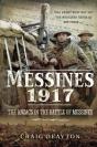 Messines 1917 - Preview