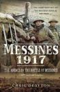 Messines 1917 - Preview