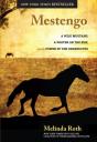 Mestengo - Preview