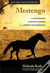 Capa do artigo Mestengo
