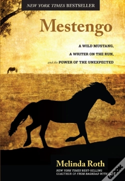 Capa do artigo Mestengo