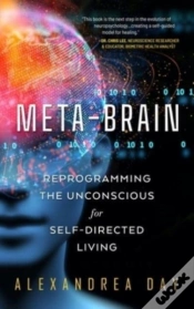Capa do artigo Meta-Brain