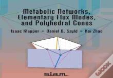 Metabolic Networks, Elementary Flux Modes, And Polyhedral Cones