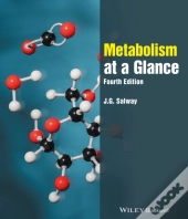Metabolism At A Glance