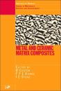 Metal And Ceramic Matrix Composites - Preview