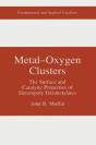 Metal-Oxygen Clusters - Preview