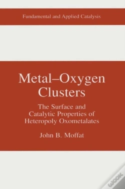 Capa do artigo Metal-Oxygen Clusters