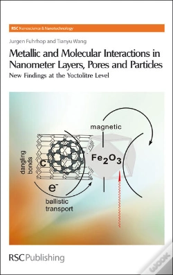 Capa do artigo Metallic And Molecular Interactions In Nanometer Layers, Pores And Particles