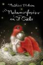 Metamorfosis En El Cielo - Preview