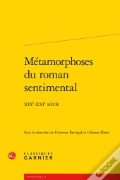 Métamorphoses Du Roman Sentimental ; Xixe-Xxe Siècle