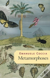 Capa do artigo Metamorphoses