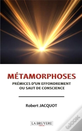 Métamorphoses : Prémices D'Un Effondrement Ou Saut De Conscience