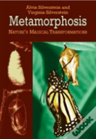 Metamorphosis