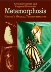 Metamorphosis