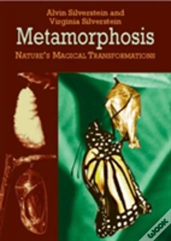 Capa do artigo Metamorphosis