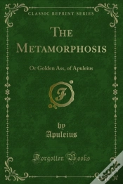 Capa do artigo Metamorphosis