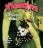 Metamorphosis - Preview