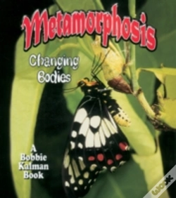 Capa do artigo Metamorphosis