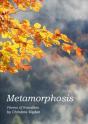 Metamorphosis - Preview