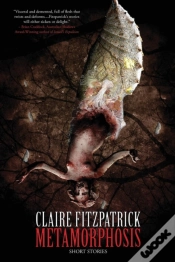 Capa do artigo Metamorphosis