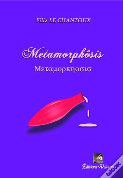 Capa do artigo Metamorphosis