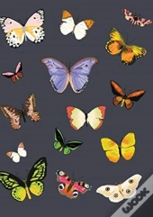 Metamorphosis Journal (Navy)